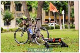 台湾可乐玛（chromo）多功能自行车拖车